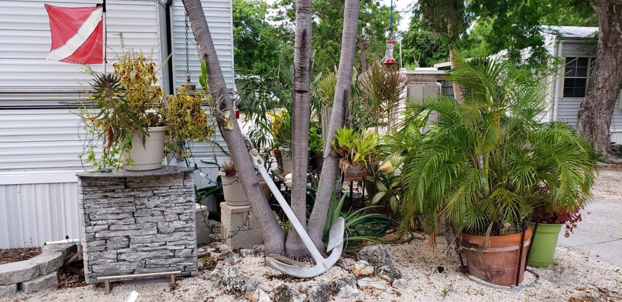 Tiny House Rv, Kayak Hotel Key Largo Eksteriør billede