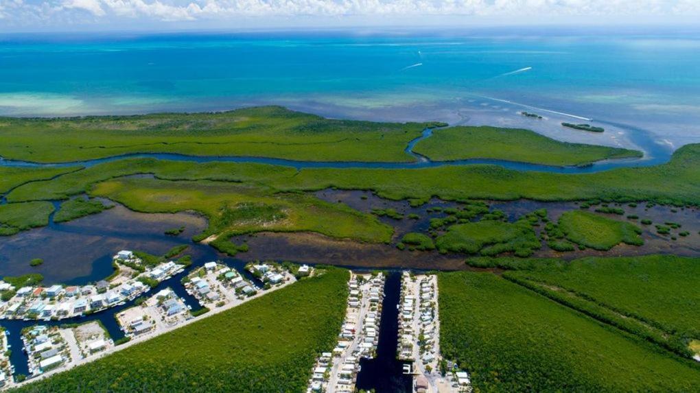 Tiny House Rv, Kayak Hotel Key Largo Eksteriør billede